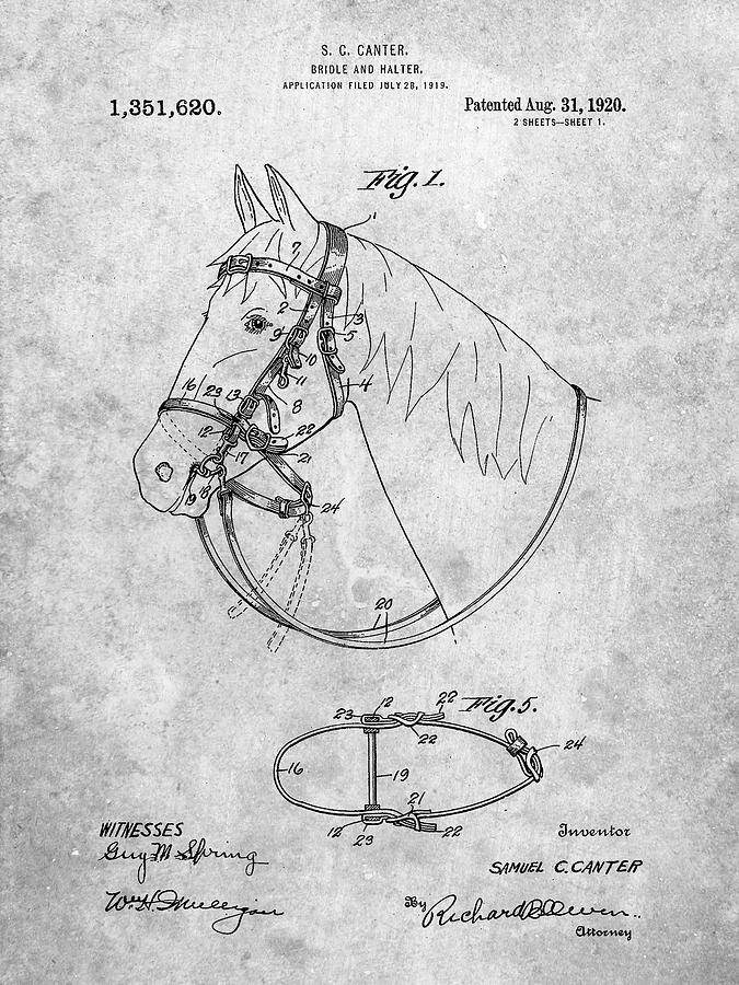 Animal Digital Art - Pp338-slate Bridle And Halter Patent Poster by Cole Borders