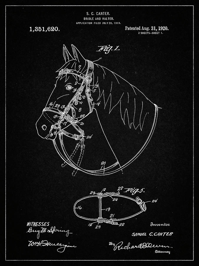 Animal Digital Art - Pp338-vintage Black Bridle And Halter Patent Poster by Cole Borders