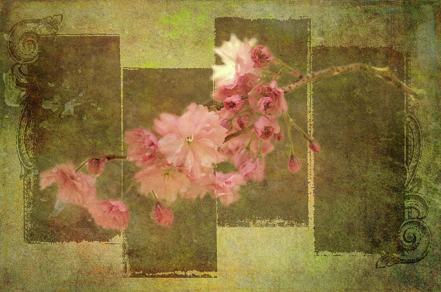Romantic Blossoms Digital Art by Marilyn Wilson