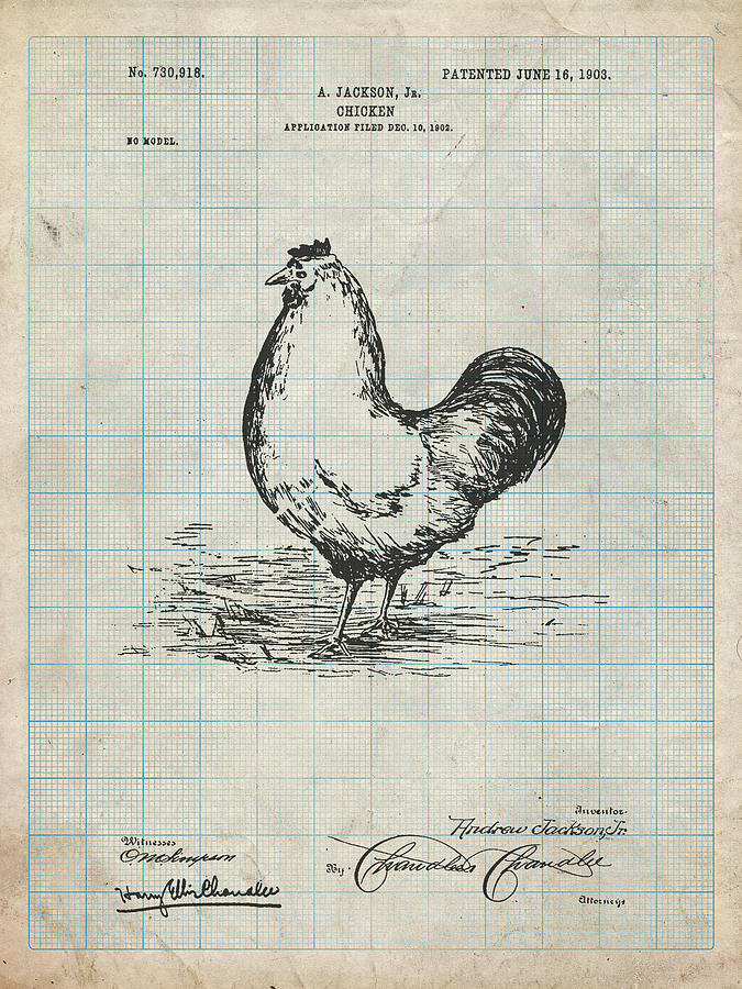 Animal Digital Art - Pp497-antique Grid Parchment Chicken Patent Poster by Cole Borders