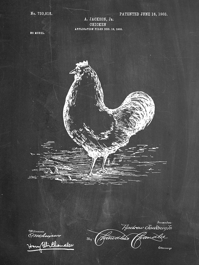 Animal Digital Art - Pp497-chalkboard Chicken Patent Poster by Cole Borders