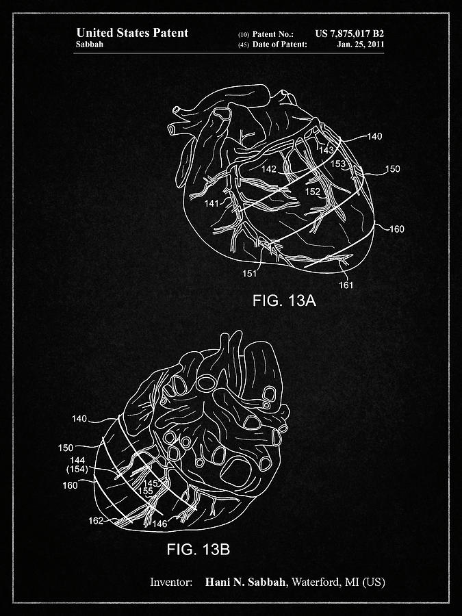 Heart Digital Art - Pp702-vintage Black Anatomical Heart Poster by Cole Borders