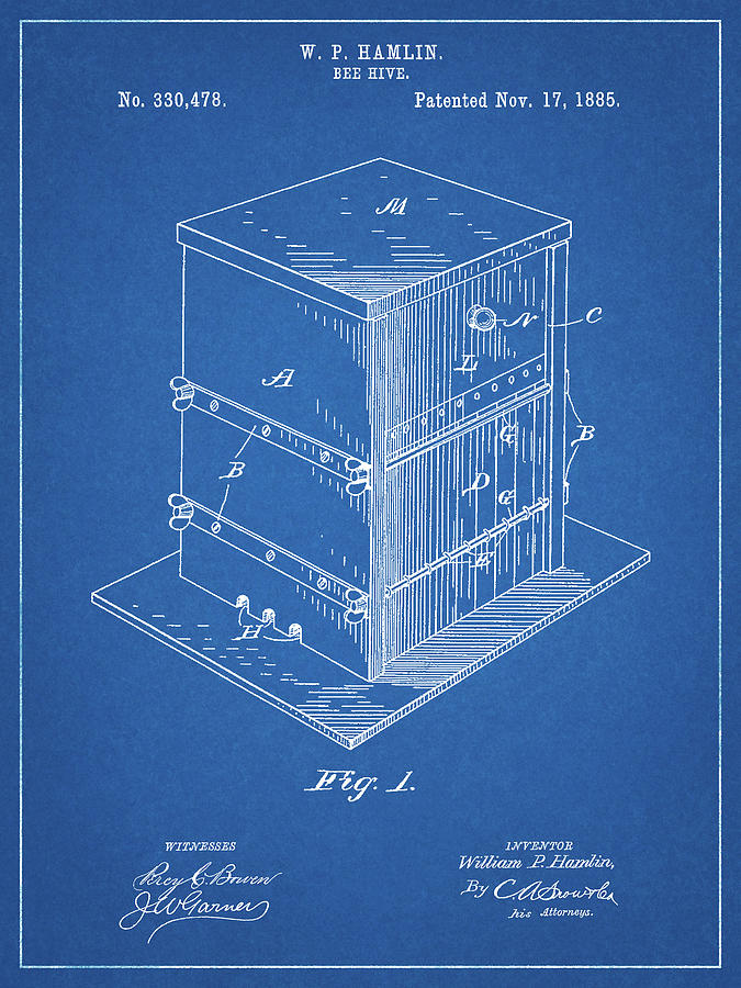 Insects Digital Art - Pp724-blueprint Bee Hive Exterior Patent Poster by Cole Borders