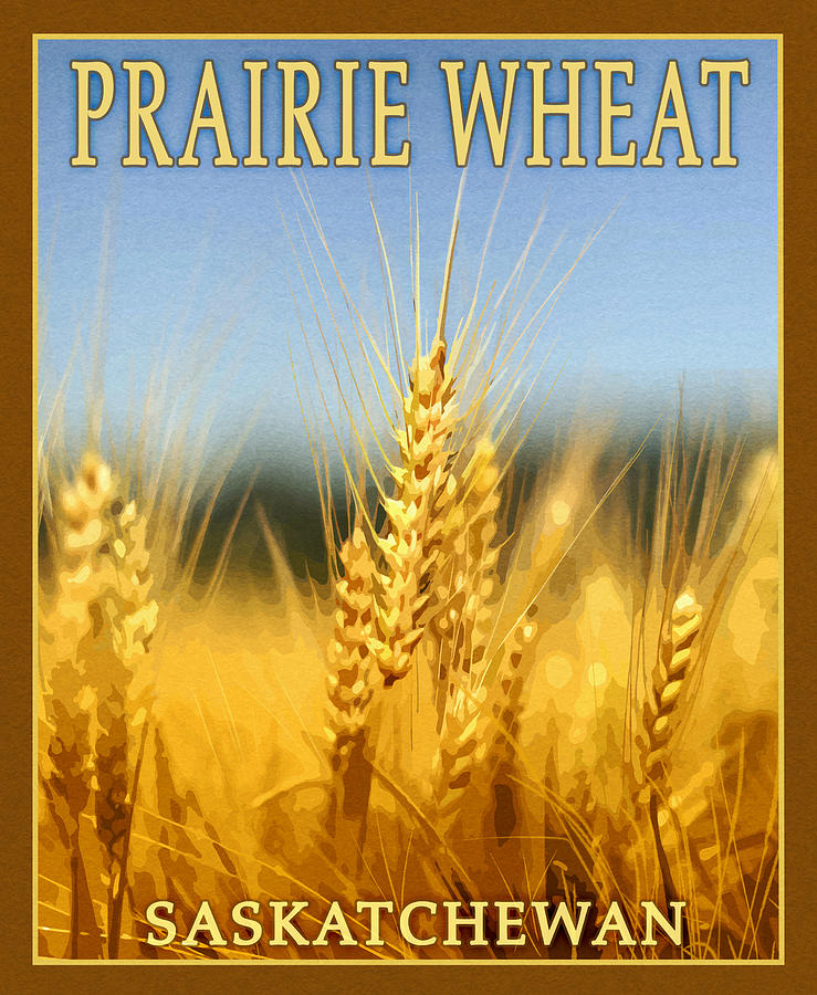 Saskatchewan Mixed Media - Praire Wheat, by Old Red Truck
