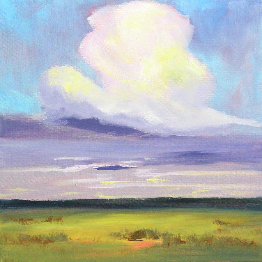 Prairie Cloud Painting by Nancy Merkle
