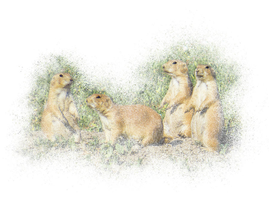 Prairie Dog Family Photograph by Patti Deters