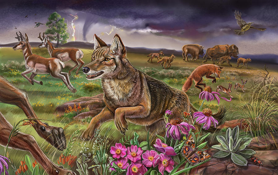 Animal Painting - Prairie Spread 18 And 19 by Cathy Morrison Illustrates