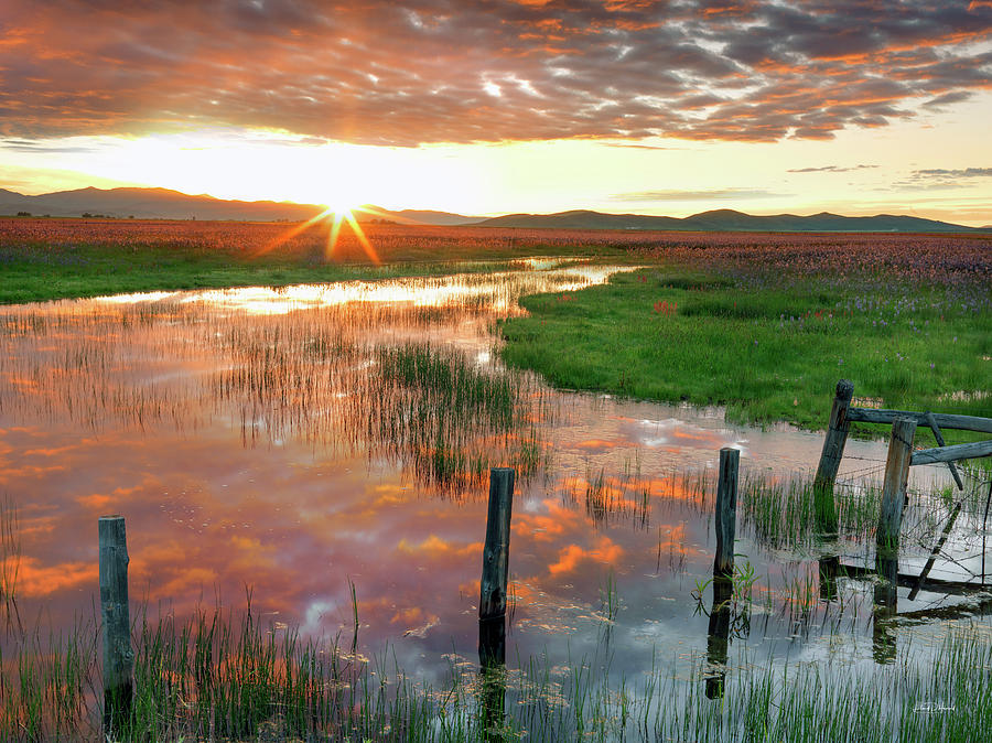 Prairie Sunrise Photograph by Leland D Howard