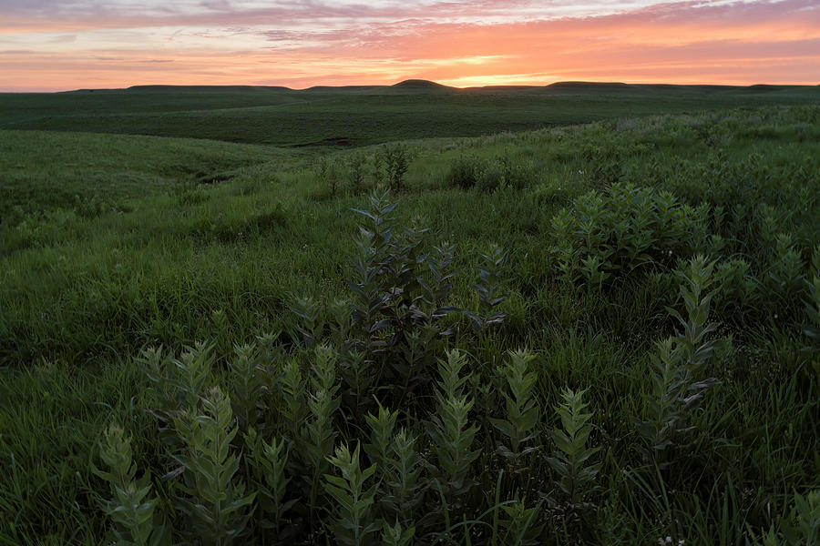 Prairie Sunset by Scott Bean Prairie Sunset by Scott Bean