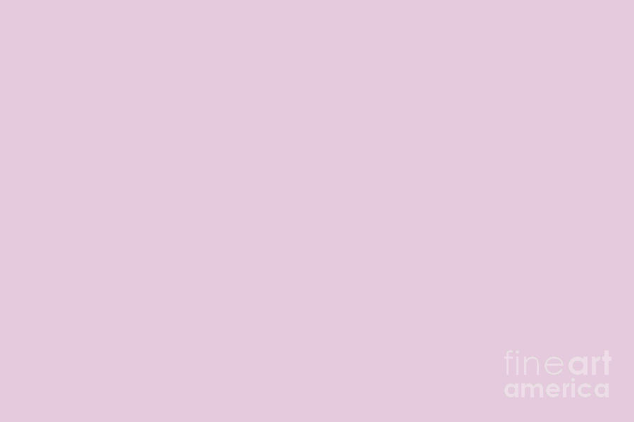 lavender color