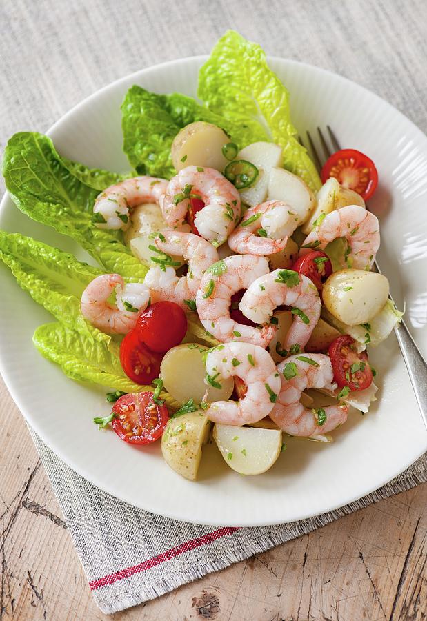 Prawn Salad With Chilli And Cherry Tomatoes Photograph by Jonathan Short