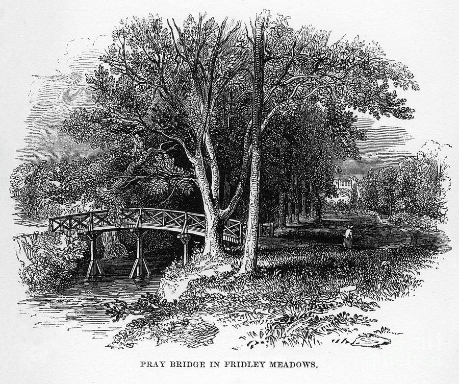 Pray Bridge In Fridley Meadows, Surrey Drawing by Print Collector