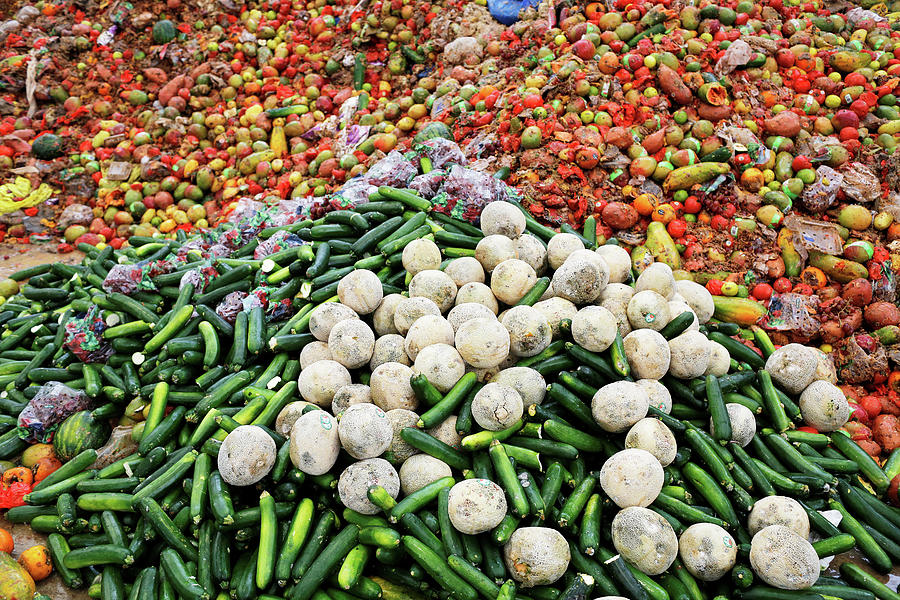 Pre-consumer Food Waste is Stockpiled Photograph by Ben Nelms - Fine ...