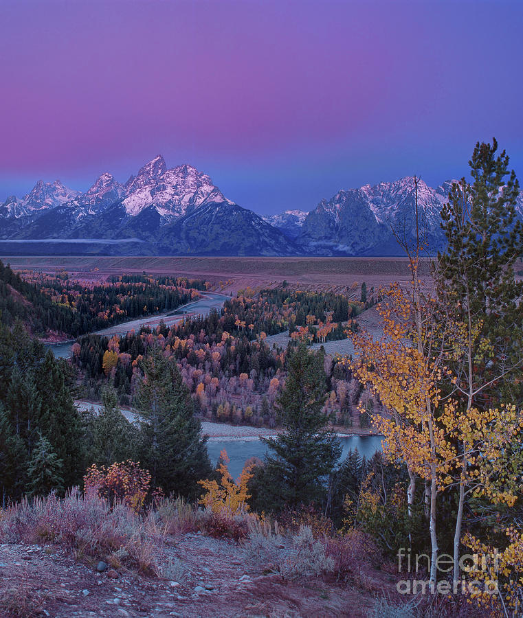 Pre-dawn Fall Color Dawn Snake River Overlook Grand Tetons Photograph by Dave Welling