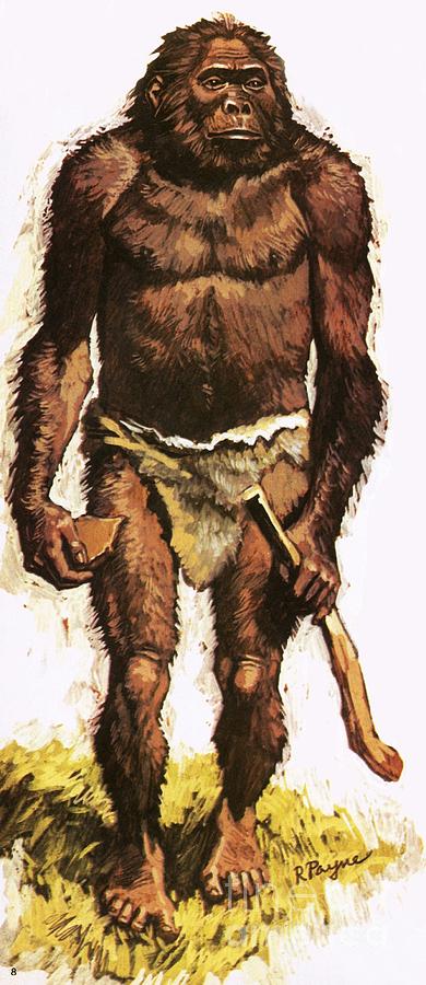 Prehistoric Painting - Pre Historic Man by Roger Payne