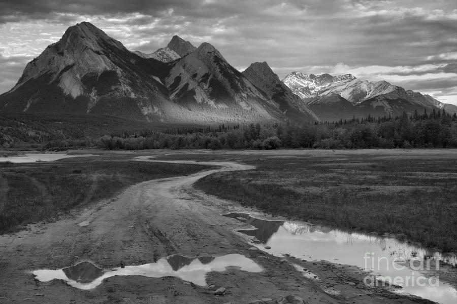 Preachers Point Rainwater Reflections Black And White Photograph by Adam Jewell