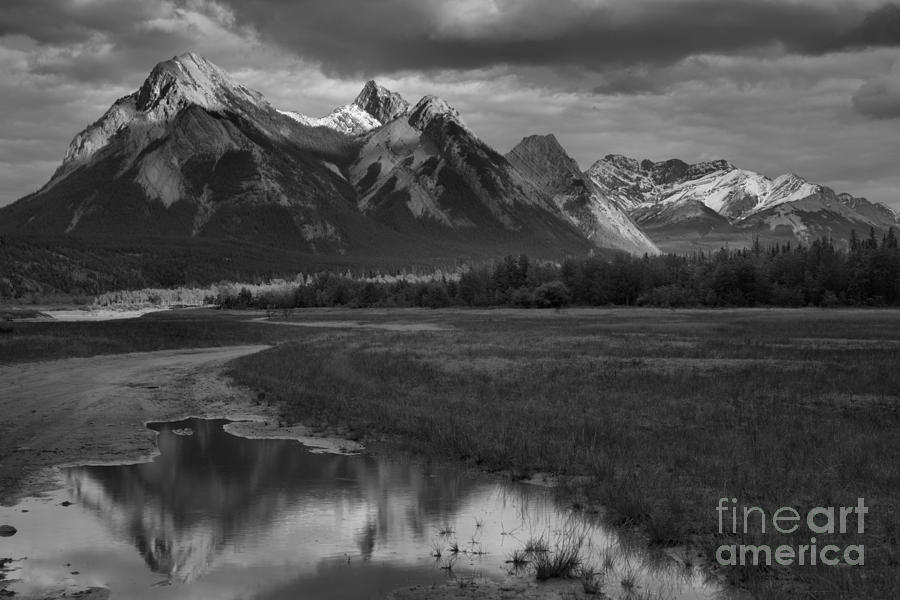 Preachers Point Water Reflections Black And White Photograph by Adam Jewell