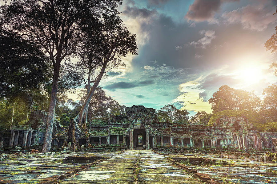 Preah Khan Temple Angkor Wat Unesco World Heritage Site Photograph