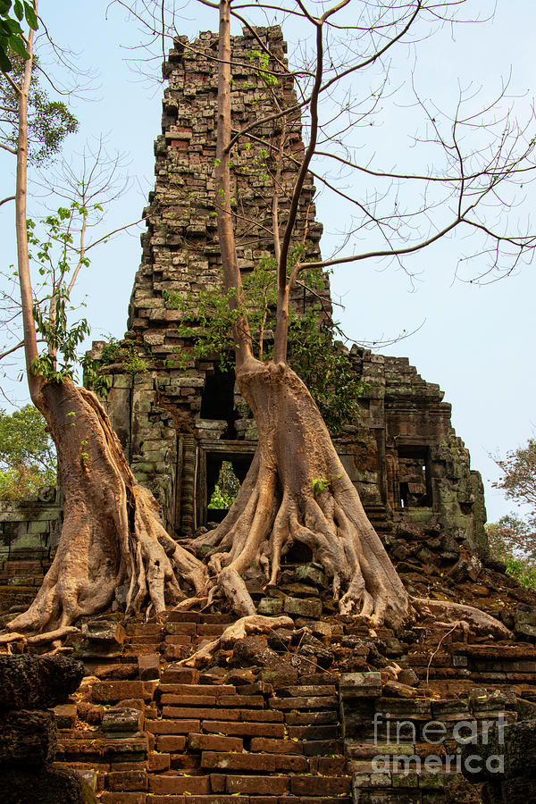 Preah Palilay Temple and Silk-Cotton Tree Photograph by Bob Phillips