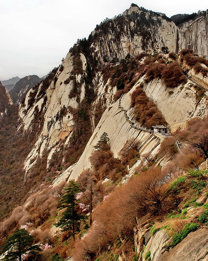 Precipitous Ladder In Mt. Hua Photograph by Davidhuiphoto
