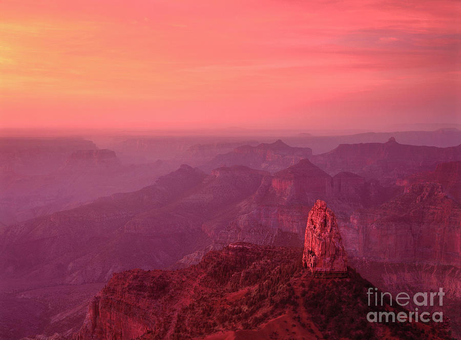 Predawn Alpenglow Point Imperial Grand Canyon National Park Photograph by Dave Welling