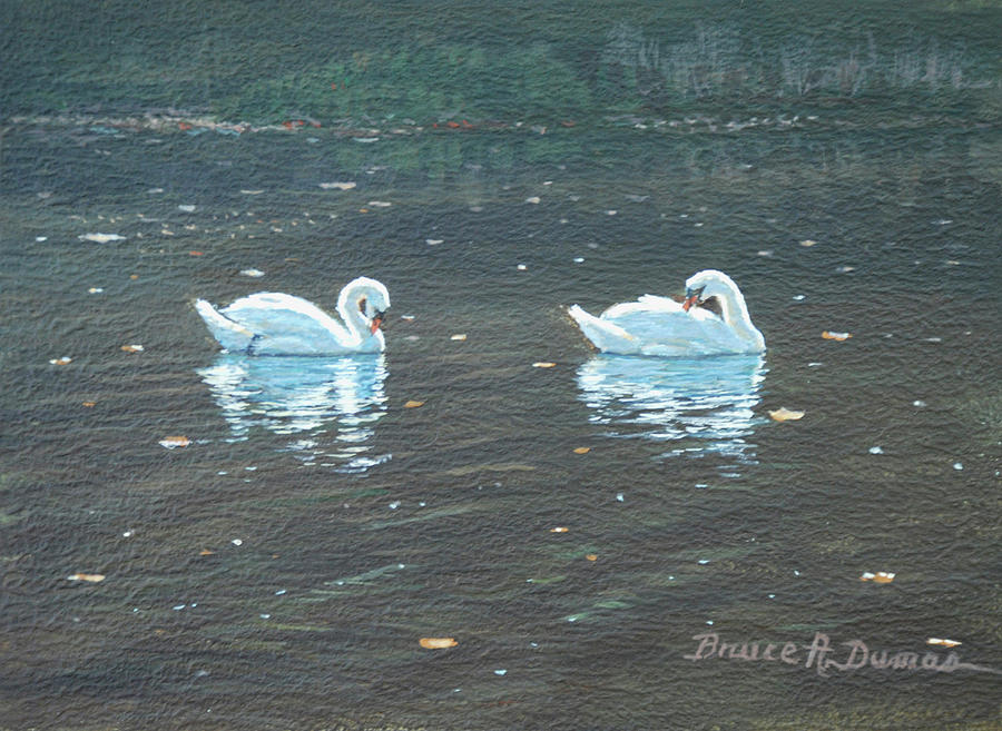 Preening Swans Painting by Bruce Dumas
