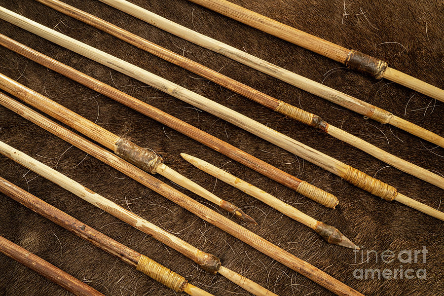 Prehistoric Arrows Photograph by Philippe Psaila/science Photo Library