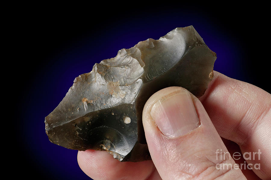 Prehistoric Flint Tool Photograph by Natural History Museum, London/science Photo Library