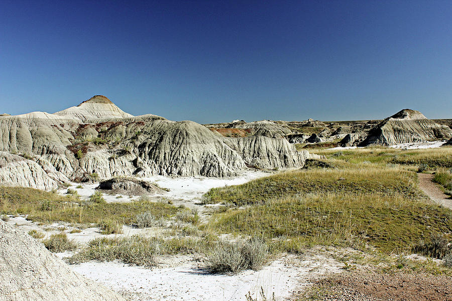 Prehistoric Landscape Photograph by Magalie Labbé