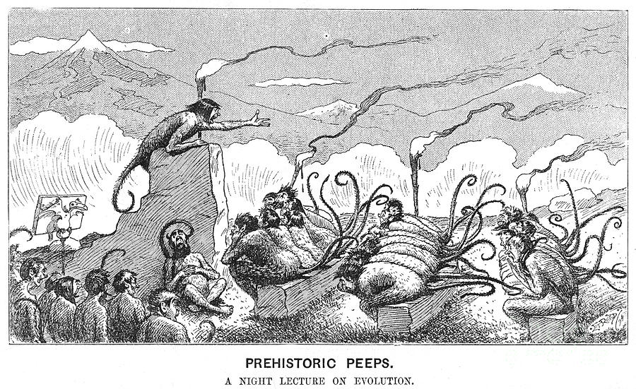 Prehistoric Peeps A Night Lecture Drawing by Print Collector