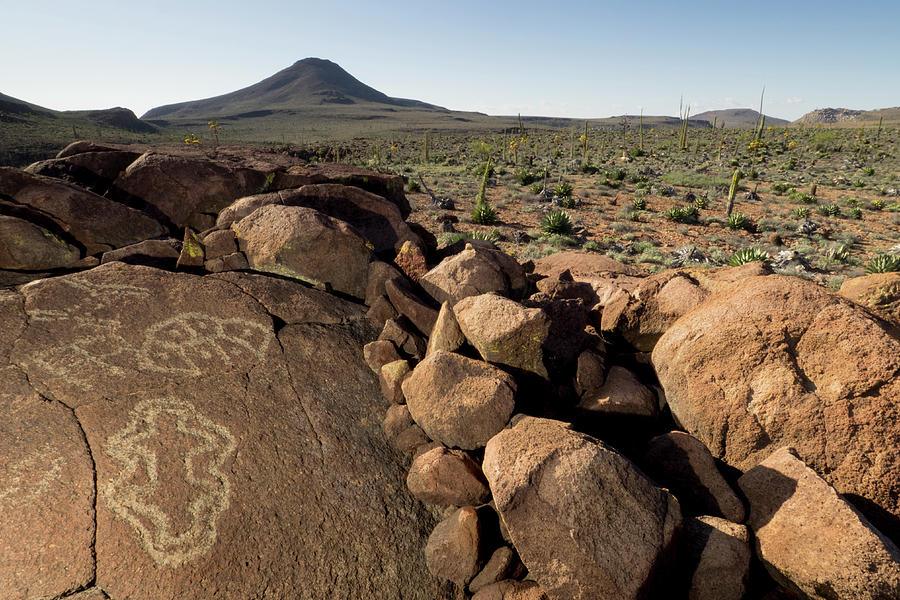 Prehistoric Digital Art - Prehistoric Rock Carvings, Mexico by Natalino Russo