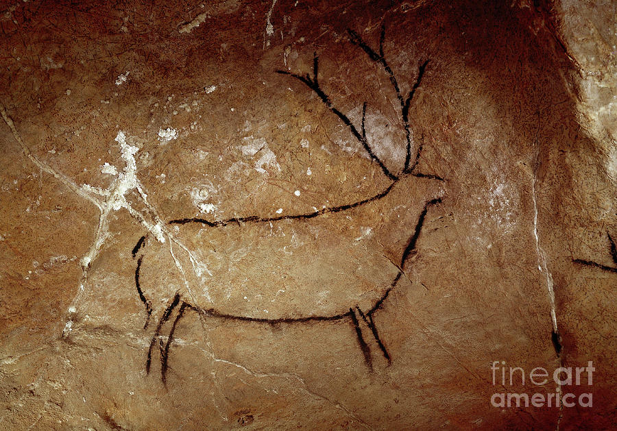 Prehistoric Photograph - Prehistory , A Deer Upper Paleolithic Cave Painting by Prehistoric