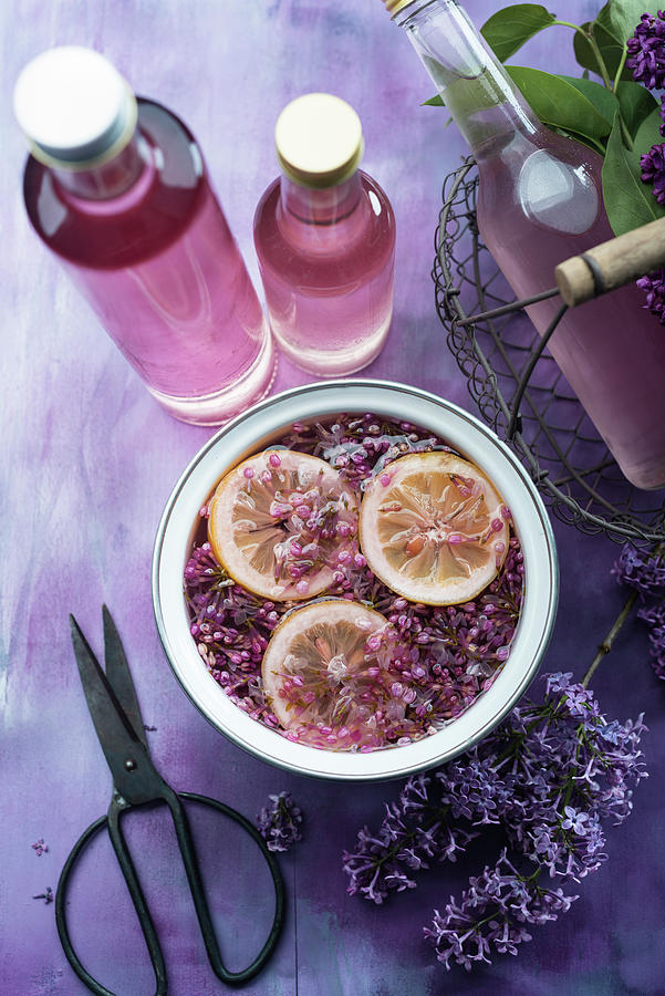 Prepare Lilac Syrup Photograph by Kati Neudert