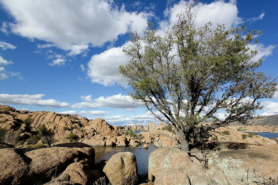 Nature Photograph - Prescott Granite Dells by Lisay
