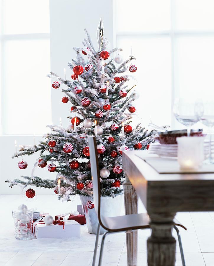 Presents Under Christmas Tree Decorated With Real Candles And Red And White Baubles Photograph by Matteo Manduzio