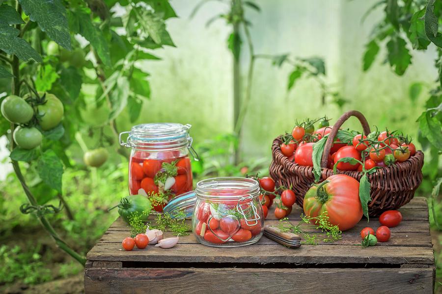 Preserved And Fresh Tomatoes With Ingredients On A Wooden Crate In The Garden Photograph by Shaiith