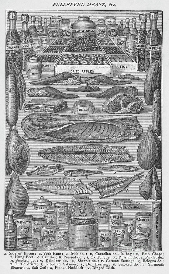 Preserved Meats, 1907, 1907 Drawing by Print Collector