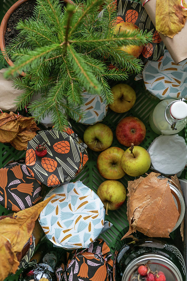 Preserving Jars, Small Fir Tree And Apples Photograph by Syl Loves