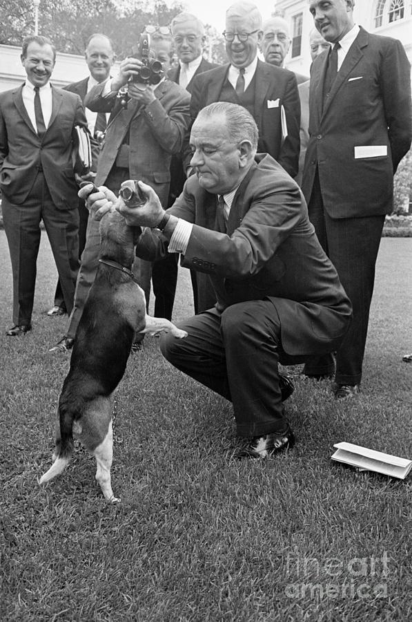 President Johnson Lifts Beagle Photograph by Bettmann