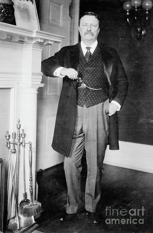 President Theodore Rooselt Photograph by Bettmann
