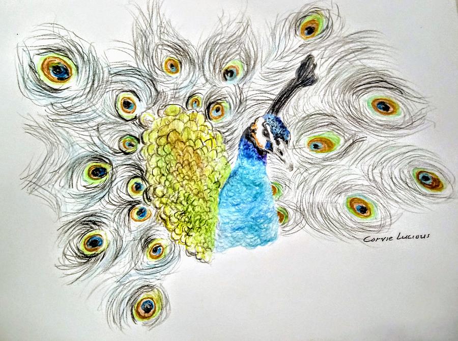 A Realistic Drawing of a Peacock in Heaven · Creative Fabrica