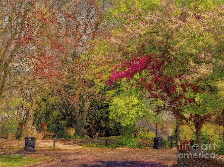 Pretty Country Lane by Leigh Kemp Pretty Country Lane by Leigh Kemp