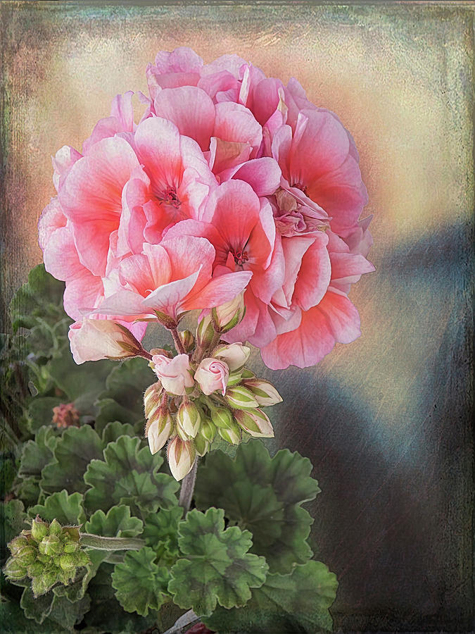 Summer Mixed Media - Pretty In Pink by Leslie Montgomery