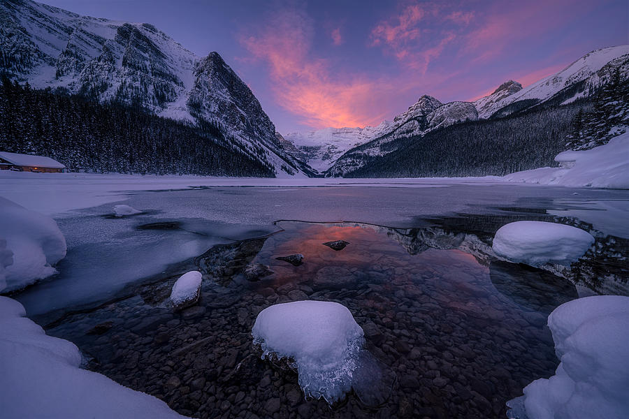 Pretty Morning At Lake Louise Photograph by Lydia Jacobs