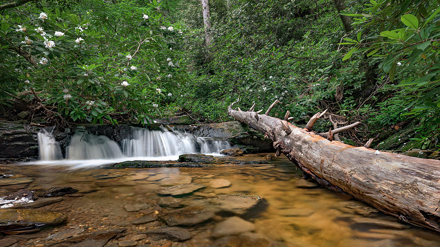 Pretty NC Scenic Creek Photograph by Patrick Lynch | Fine Art America