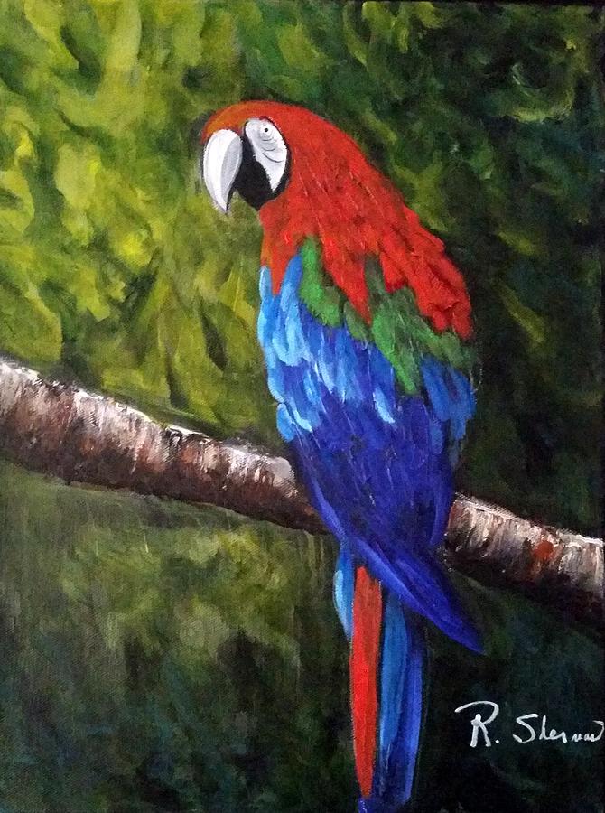 Pretty Parrot Painting by Rosie Sherman