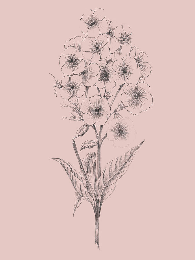 Flower Mixed Media - Pretty Pink Flower 3 by Naxart Studio