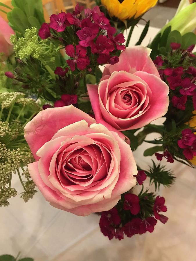 Pretty Pink Flowers Photograph by Gil Benzeevi Fine Art America