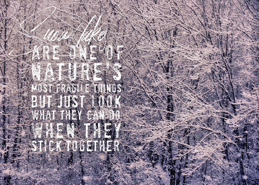 PRETTY POWDER quote Photograph by Jamart Photography