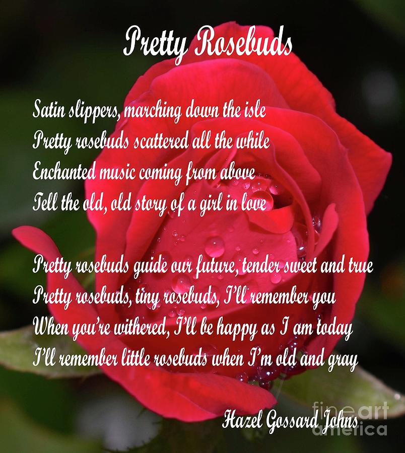 Pretty Rosebuds - Poem By Hazel Gossard Johns Photograph